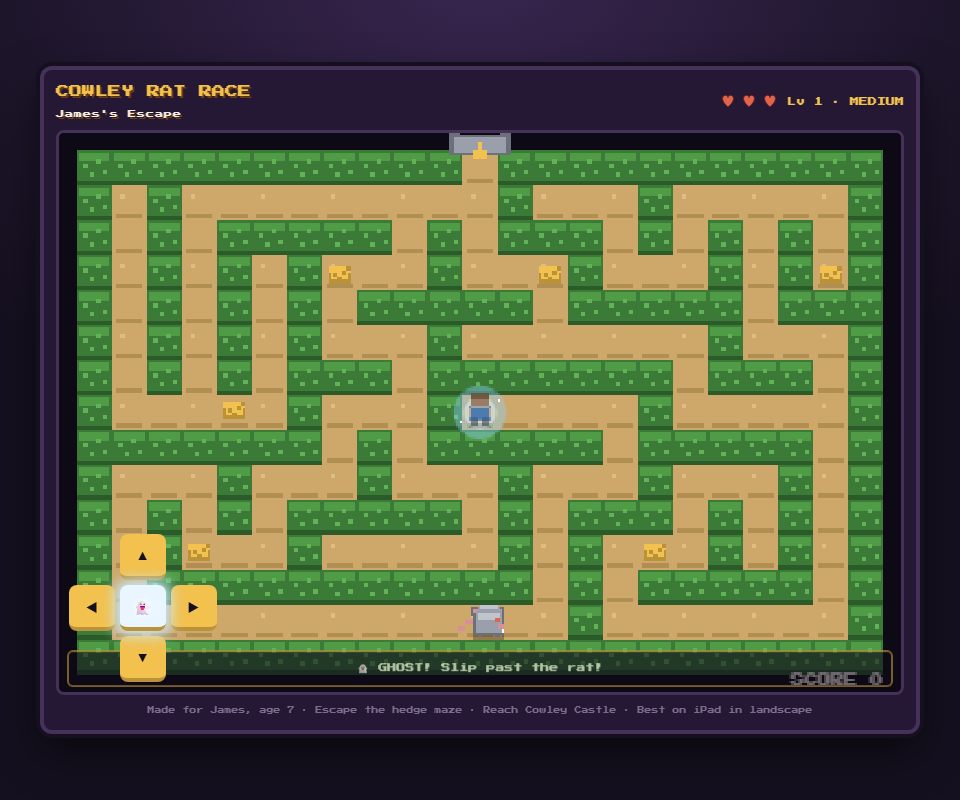 Cowley Rat Race — pixel-art browser game screenshot
